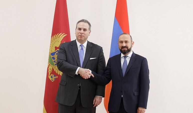 Rencontre du ministre des Affaires étrangères d'Arménie avec le vice-Premier ministre des Affaires étrangères et européennes du Monténégro
